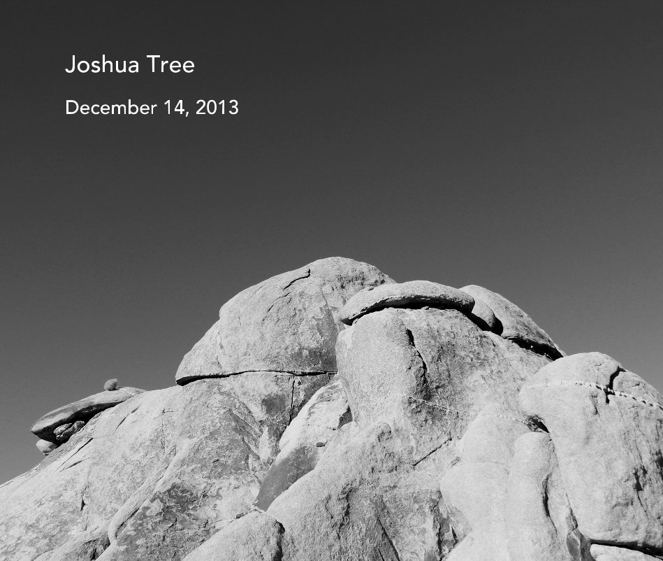 Ver Joshua Tree December 14, 2013 por Jess Gutierrez