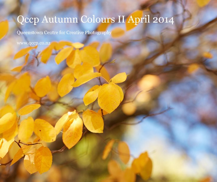 View Qccp Autumn Colours II April 2014 by Queenstown Centre for Creative Photography