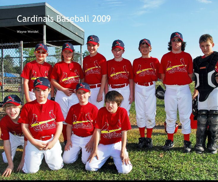 View Cardinals Baseball 2009 by birdshooter