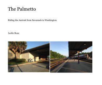 The Palmetto book cover