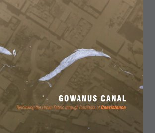 Gowanus Canal: Master's Report 2014 book cover