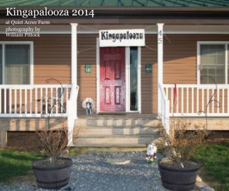 Kingapalooza 2014 book cover