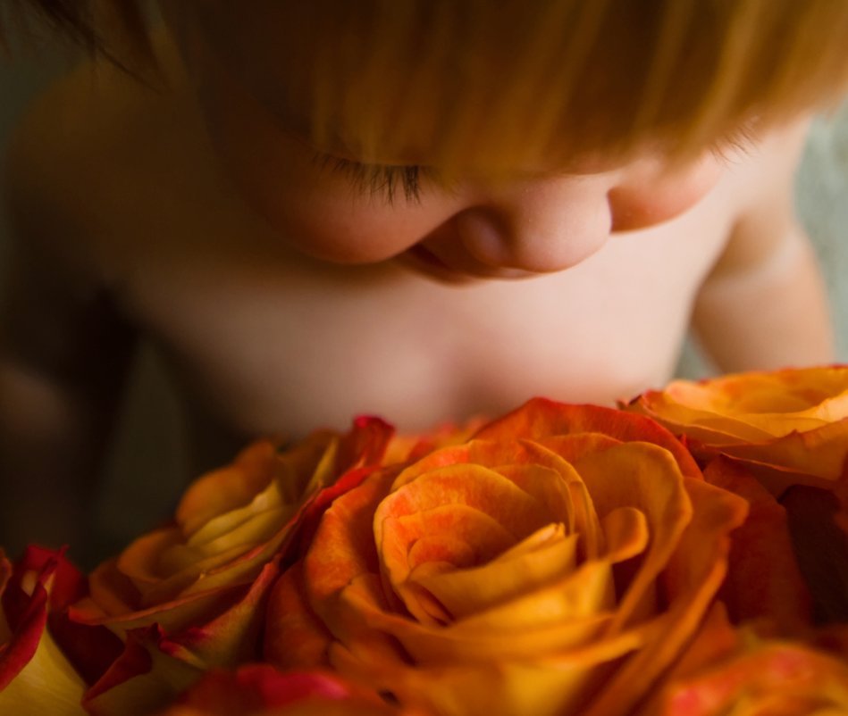 View All About Anna by Steve and Jen