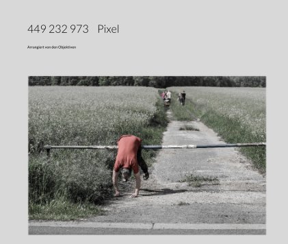 449 232 973 Pixel book cover