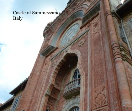 Castle of Sammezzano book cover
