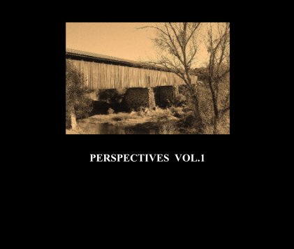 PERSPECTIVES VOL.1 book cover