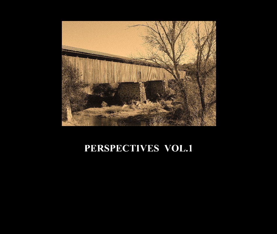 View PERSPECTIVES VOL.1 by ROGER LUNDGREN JR.