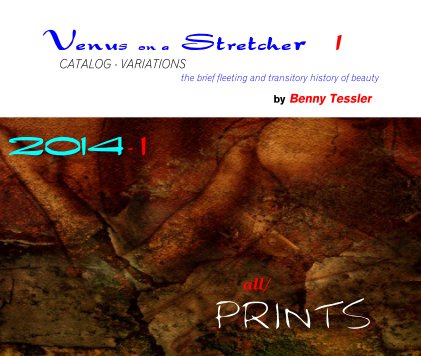 2014 -  Venus on a Stretcher, part 1 book cover