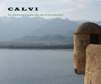 C A L V I book cover