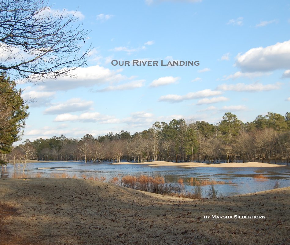 View Our River Landing by Marsha Silberhorn