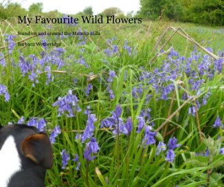 My Favourite Wild Flowers book cover