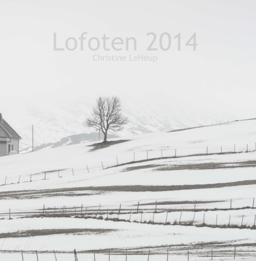 View Lofoten 2014 by Christine LeHeup