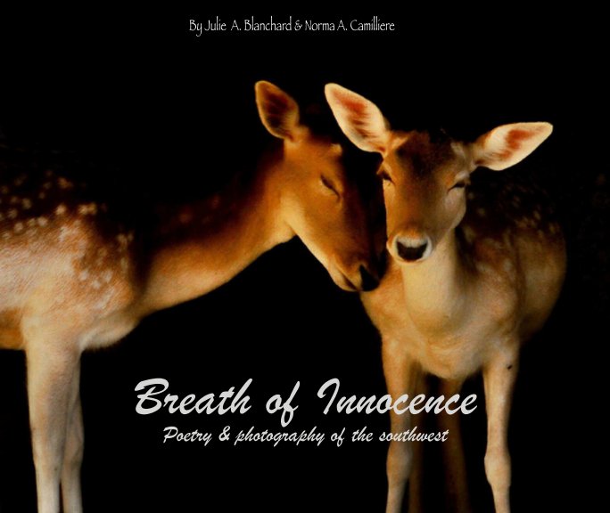 View Breath of Innocence by Julie A. Blanchard & Norma A. Camilliere