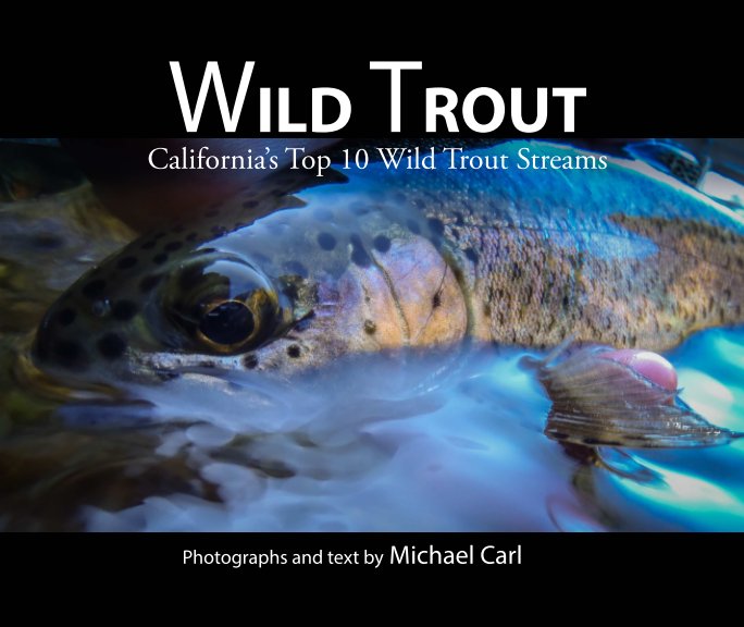 View Wild Trout by Michael Carl