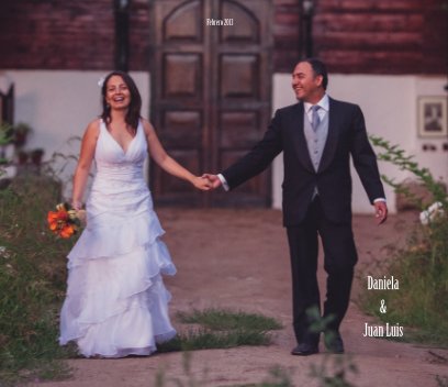 Daniela y Juan Luis book cover