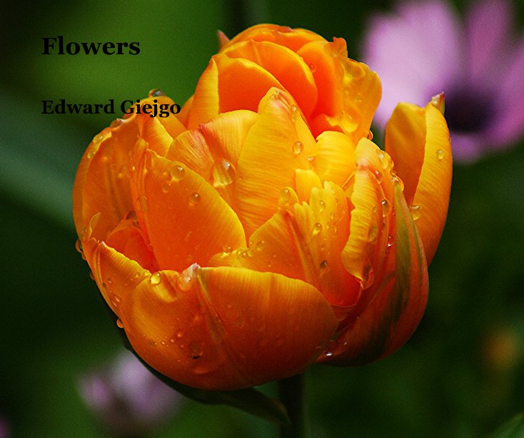 Bekijk Flowers op Edward Giejgo