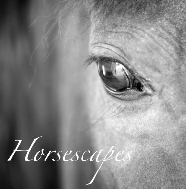 Horsescapes book cover