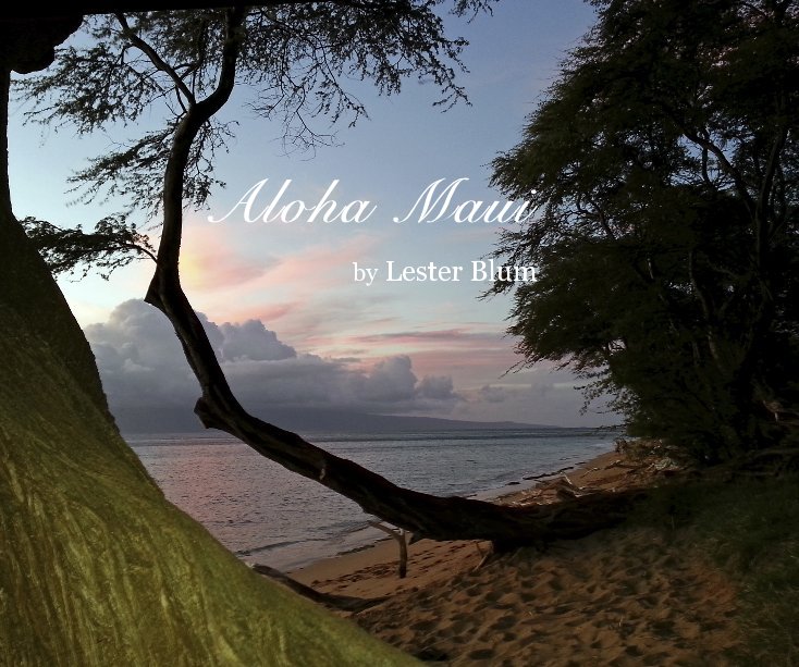 View Aloha Maui by Lester Blum