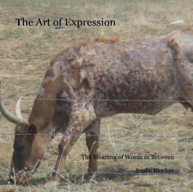 The Art of Expression book cover