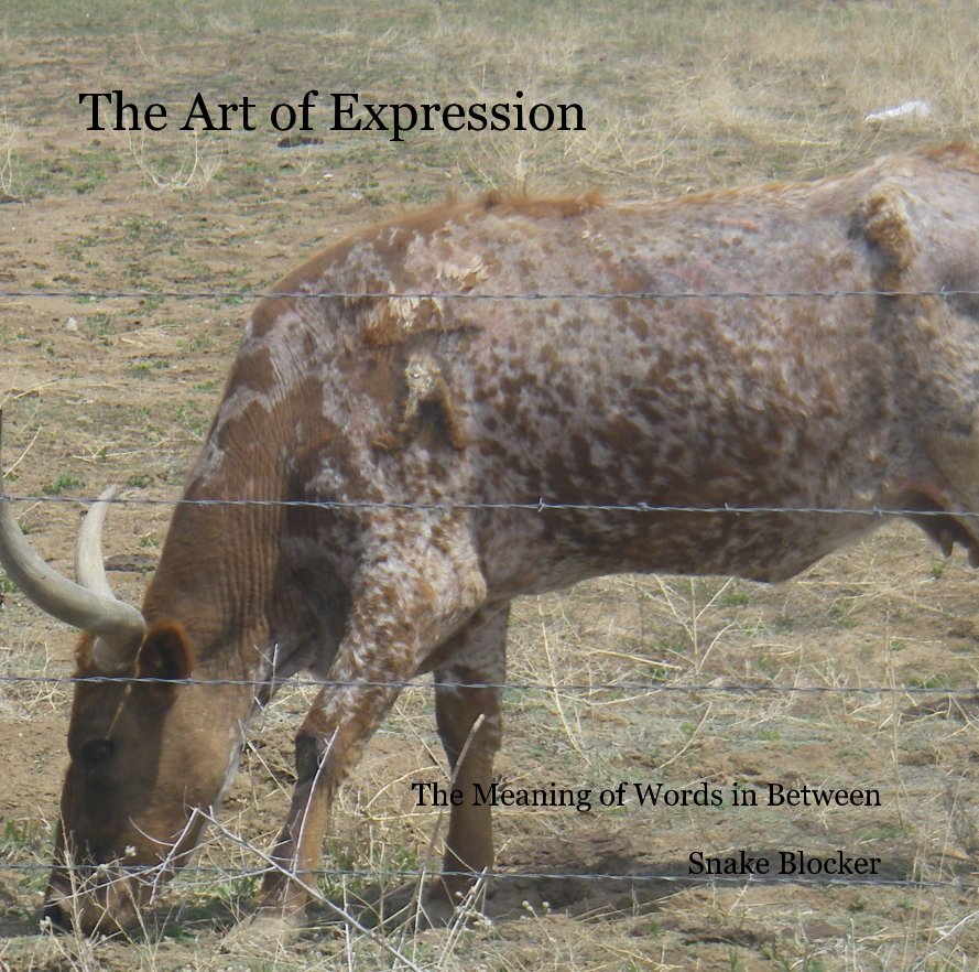 View The Art of Expression by Snake Blocker