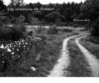 Les chemins de Robert book cover