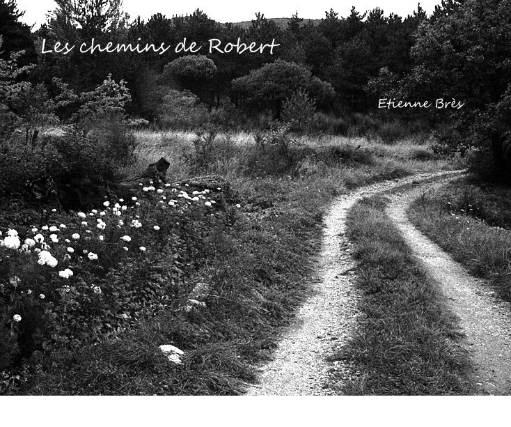 View Les chemins de Robert by Etienne Bres