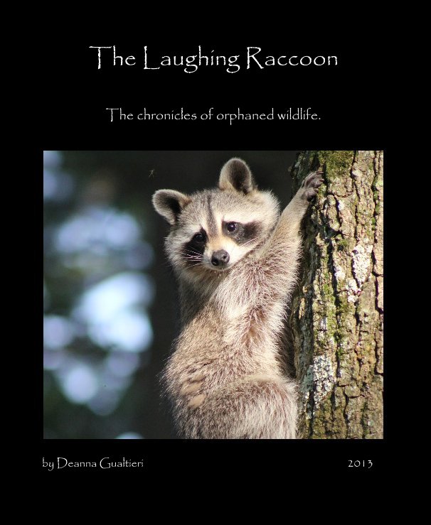 View The Laughing Raccoon by Deanna Gualtieri 2013