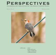 Perspectives, Vol. 2 no. 1 book cover