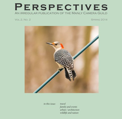 View Perspectives, Vol. 2 no. 1 by Birnbaum (ed.), et al.