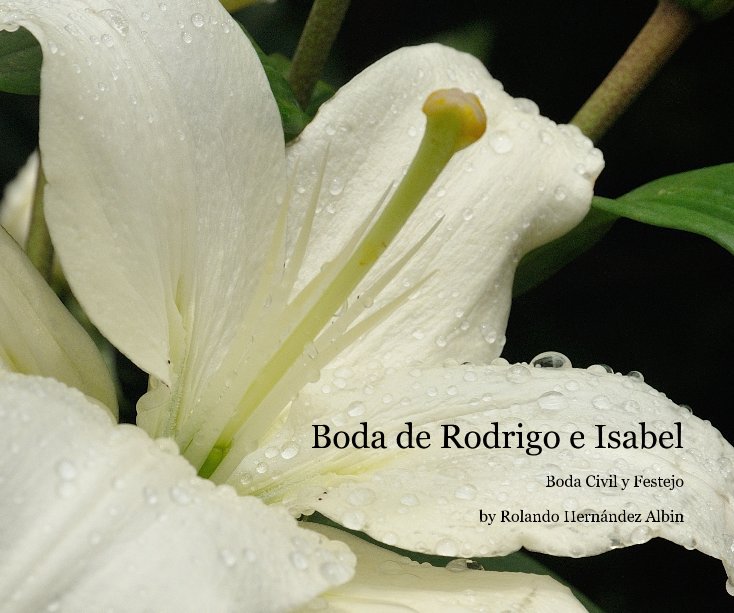 Ver Boda de Rodrigo e Isabel por Rolando Hernández Albin