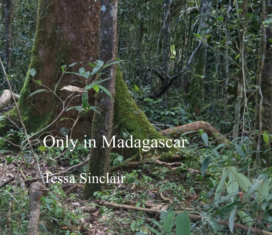 Visualizza Only in Madagascar di Tessa Sinclair
