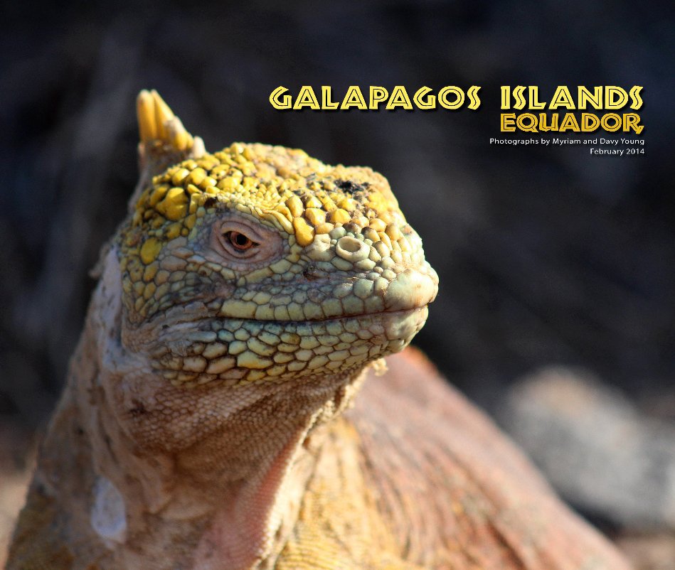 View Galapagos by Robin