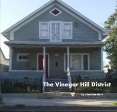 The Vinegar Hill District book cover