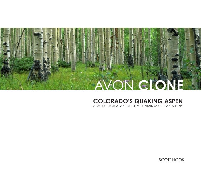 View Avon Clone Revised Edition by Scott Hook