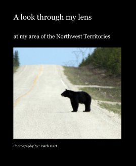 A look through my lens book cover