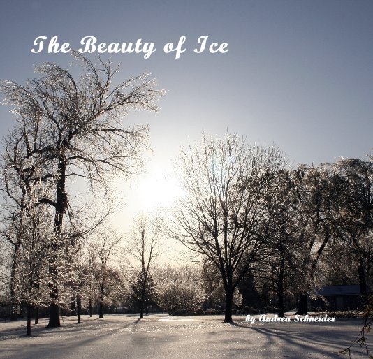 Ver The Beauty of Ice por Andrea Schneider