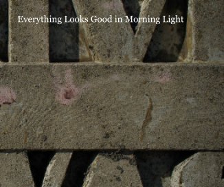 Everything Looks Good in Morning Light book cover