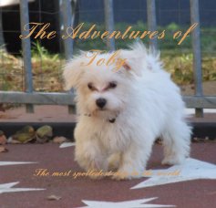 The Adventures of Toby book cover