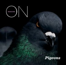 ON PIGEONS book cover
