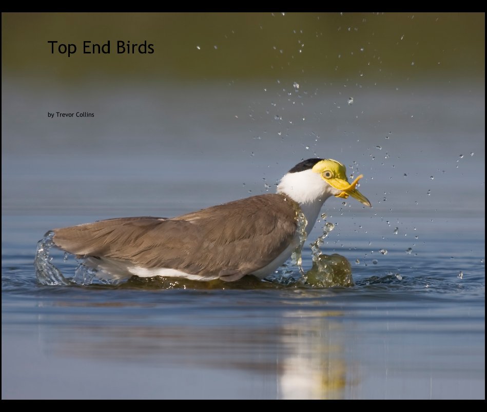 View Top End Birds by Trevor Collins