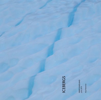 ICEBERGS book cover