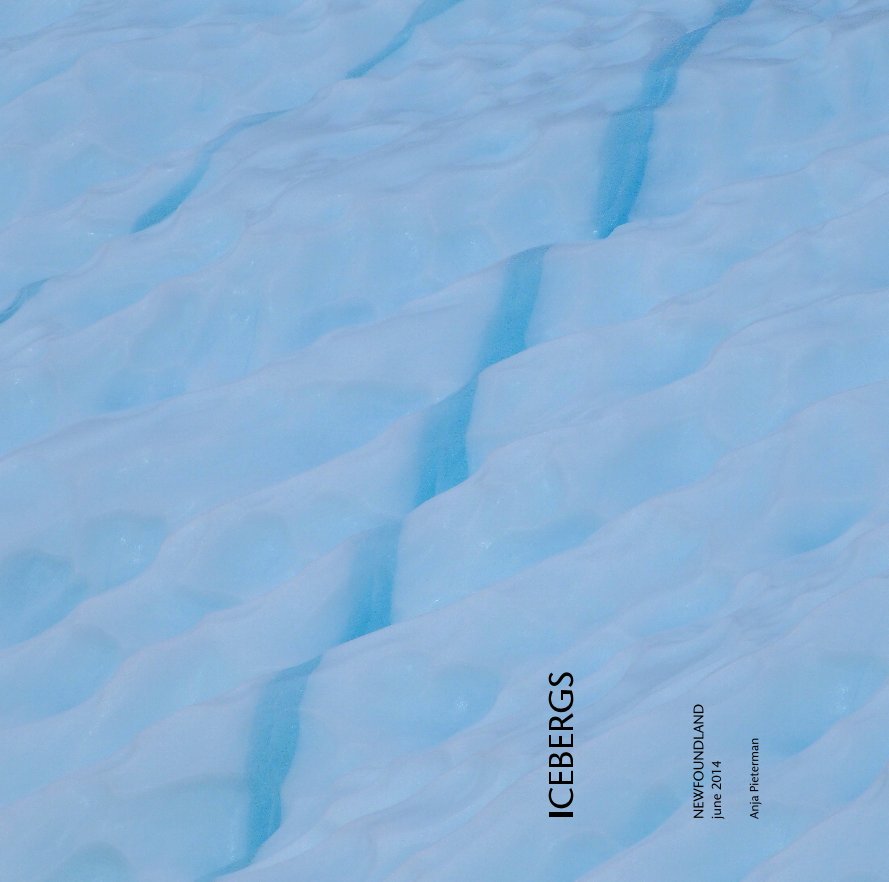 Visualizza ICEBERGS di Anja Pieterman