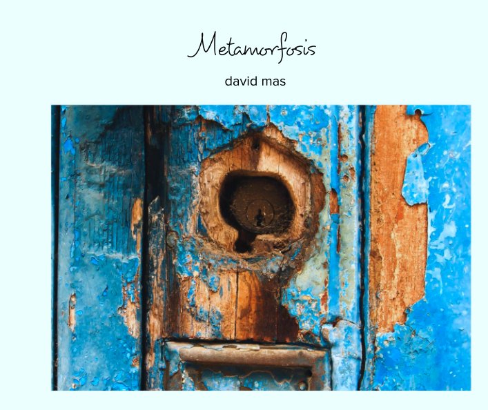 View Metamorfosis by david mas