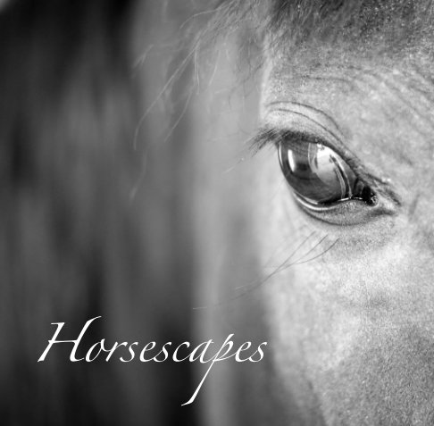 View Horsescapes by Timothy Floyd