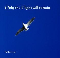 Only the Flight will remain book cover