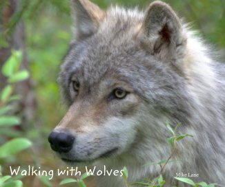 Walking with Wolves book cover