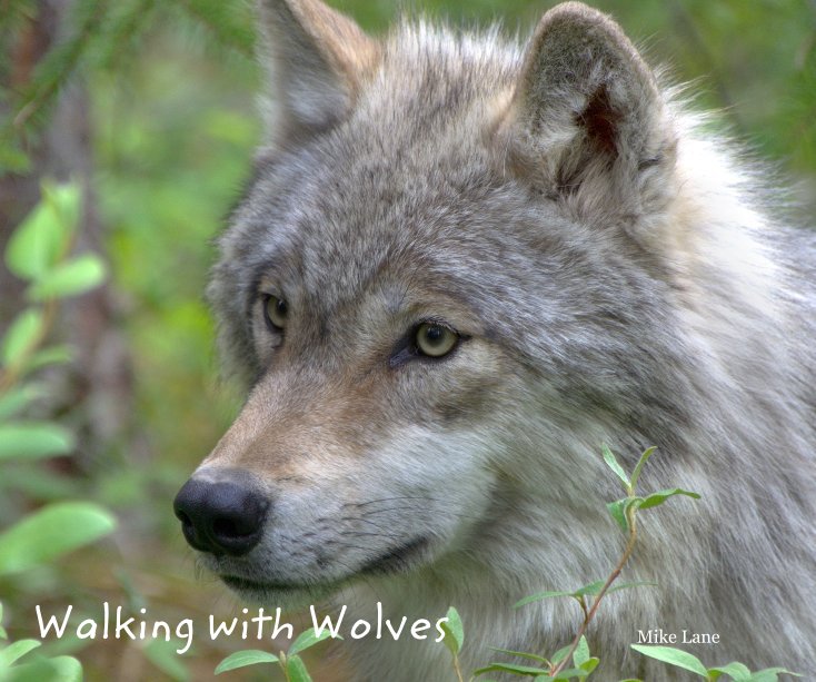 View Walking with Wolves by Mike Lane