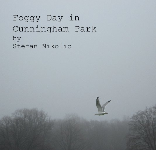 Foggy Day in Cunningham Park by Stefan Nikolic nach Karlosnik anzeigen