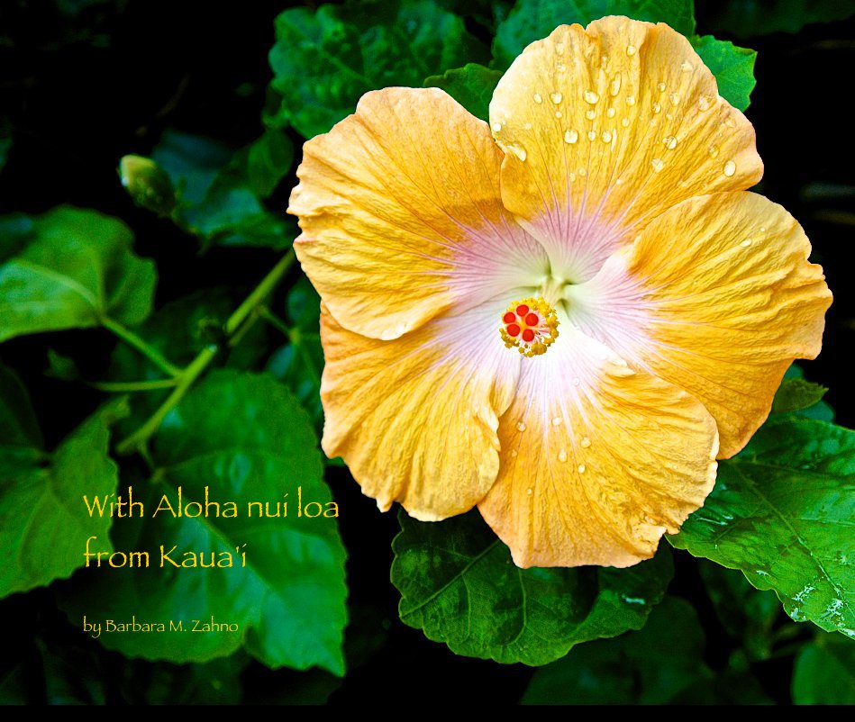 Ver With Aloha nui loa from Kaua'i por Barbara M. Zahno