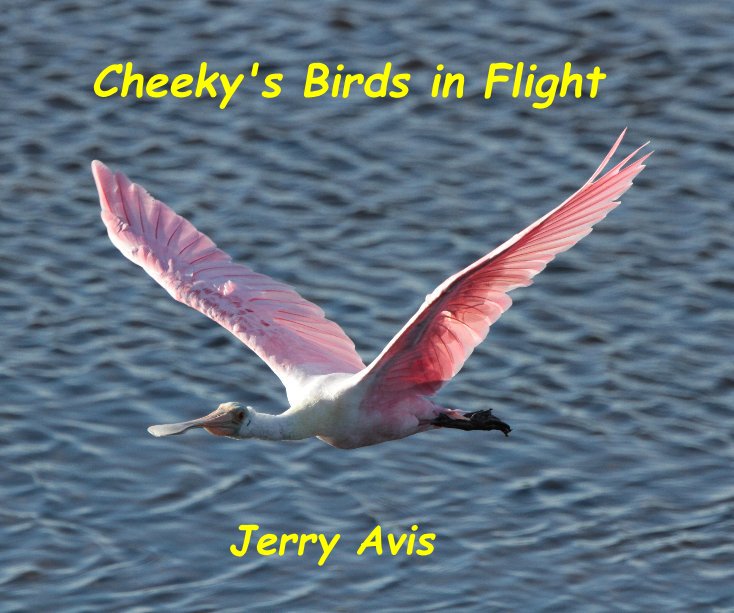 View Cheeky's Birds in Flight by Jerry Avis